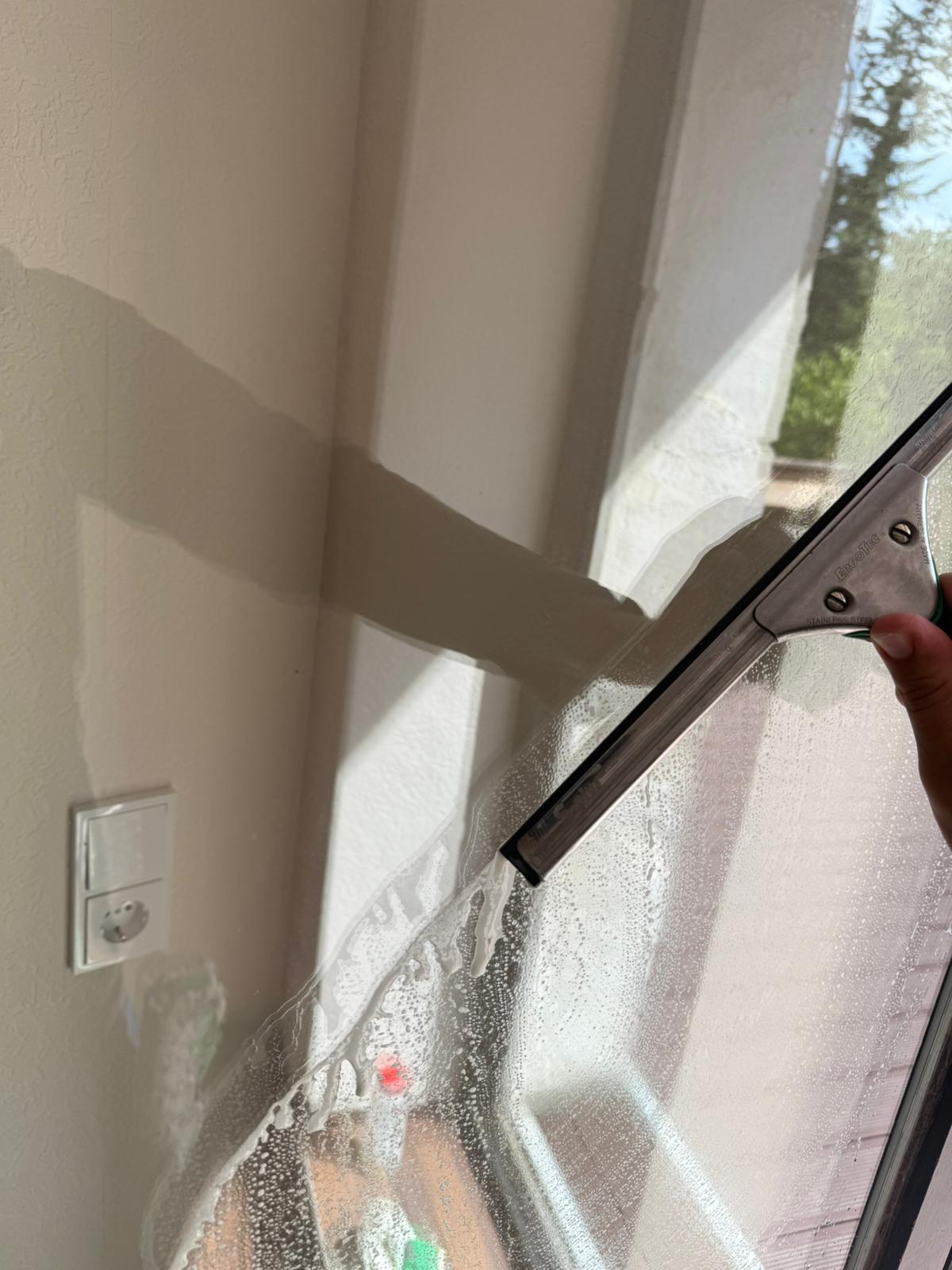 Fensterreinigung